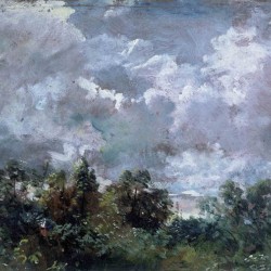 Study of Sky and Trees